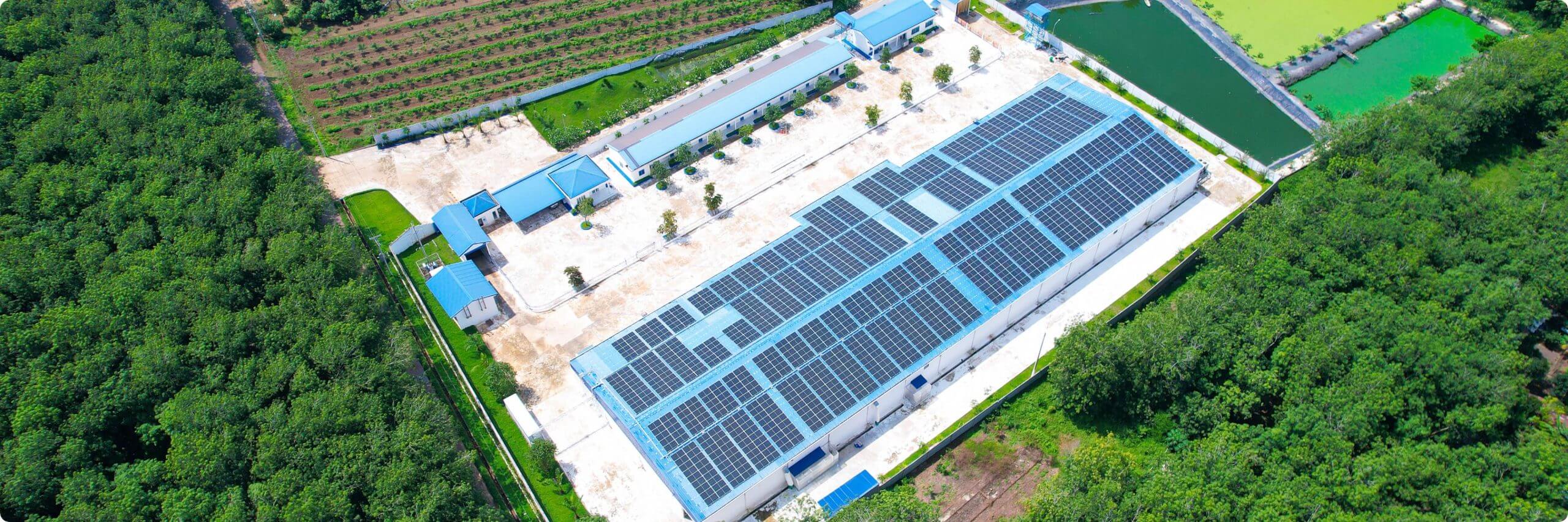 ĐIỆN MẶT TRỜI VIETSWAN